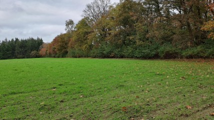 Paleis op de Heide